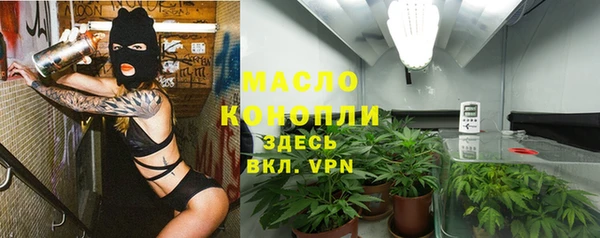 сатива Зеленокумск