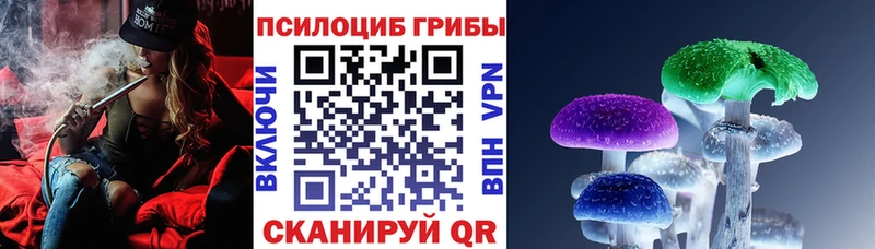 Псилоцибиновые грибы Cubensis Апшеронск